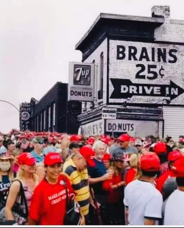 Magabrain Blank Meme Template