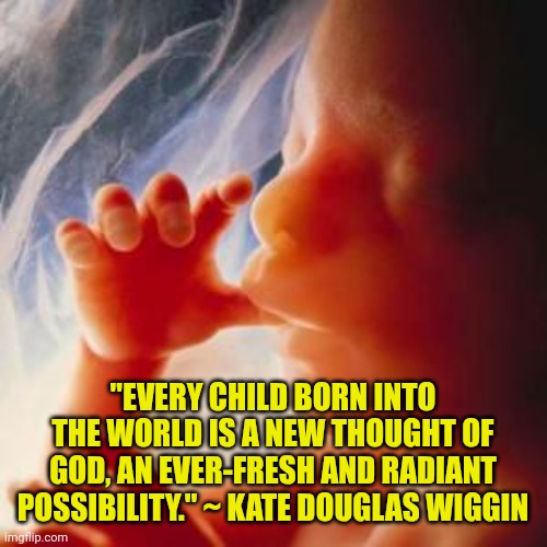 Fetus | "EVERY CHILD BORN INTO THE WORLD IS A NEW THOUGHT OF GOD, AN EVER-FRESH AND RADIANT POSSIBILITY." ~ KATE DOUGLAS WIGGIN | image tagged in fetus | made w/ Imgflip meme maker