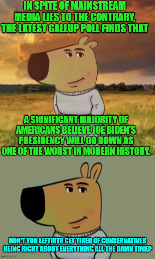 Don't you leftists get tired of being wrong about everything, all the damn time? | IN SPITE OF MAINSTREAM MEDIA LIES TO THE CONTRARY, THE LATEST GALLUP POLL FINDS THAT; A SIGNIFICANT MAJORITY OF AMERICANS BELIEVE JOE BIDEN’S PRESIDENCY WILL GO DOWN AS ONE OF THE WORST IN MODERN HISTORY. DON'T YOU LEFTISTS GET TIRED OF CONSERVATIVES BEING RIGHT ABOUT EVERYTHING ALL THE DAMN TIME? | image tagged in chill guy | made w/ Imgflip meme maker