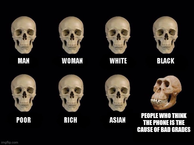 empty skulls of truth | PEOPLE WHO THINK THE PHONE IS THE CAUSE OF BAD GRADES | image tagged in empty skulls of truth | made w/ Imgflip meme maker