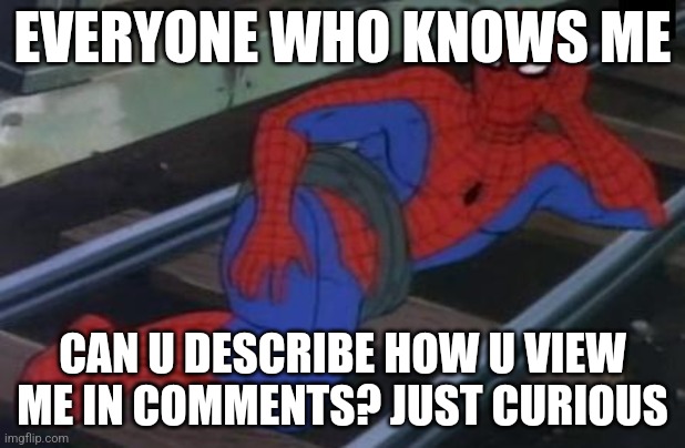 I know this doesn't have to do with upvote begging, but I have a few friends in this stream so idk | EVERYONE WHO KNOWS ME; CAN U DESCRIBE HOW U VIEW ME IN COMMENTS? JUST CURIOUS | image tagged in memes,sexy railroad spiderman,spiderman | made w/ Imgflip meme maker