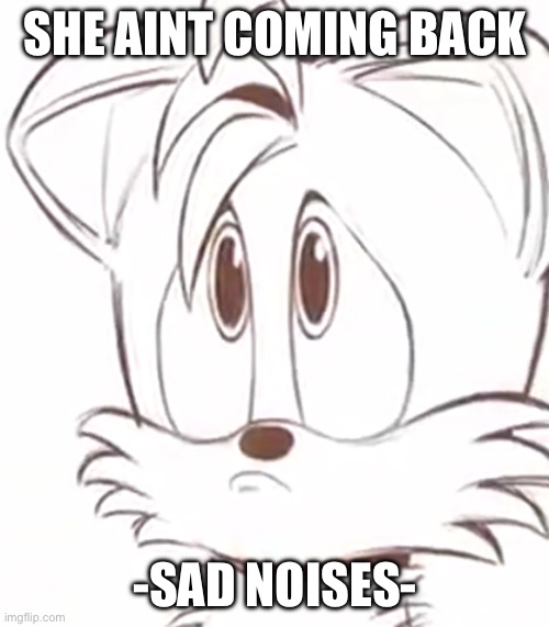 sad tails | SHE AINT COMING BACK -SAD NOISES- | image tagged in sad tails | made w/ Imgflip meme maker