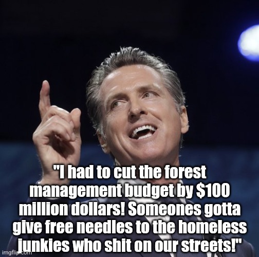 Gov Newsom cut millions from the forest management budget just last year. Think that was a bad idea? | "I had to cut the forest management budget by $100 million dollars! Someones gotta give free needles to the homeless junkies who shit on our streets!" | image tagged in gavin newsom,stupid people,bad ideas,liberal logic,liberal hypocrisy,democrats | made w/ Imgflip meme maker