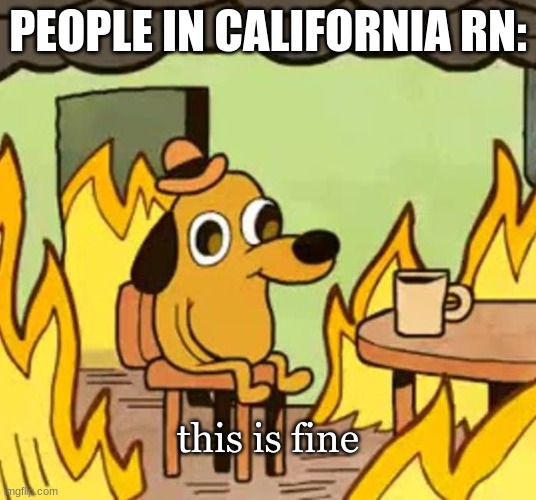 they are cooked | PEOPLE IN CALIFORNIA RN:; this is fine | image tagged in its fine,memes,gifs,funny,relatable,fun | made w/ Imgflip meme maker