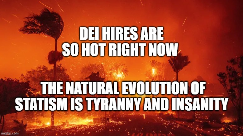 California Wildfires, 2025 | DEI HIRES ARE SO HOT RIGHT NOW; THE NATURAL EVOLUTION OF STATISM IS TYRANNY AND INSANITY | image tagged in california wildfires 2025 | made w/ Imgflip meme maker