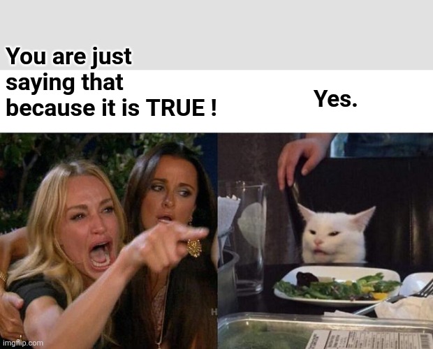 Woman Yelling At Cat Meme | You are just saying that because it is TRUE ! Yes. | image tagged in memes,woman yelling at cat | made w/ Imgflip meme maker