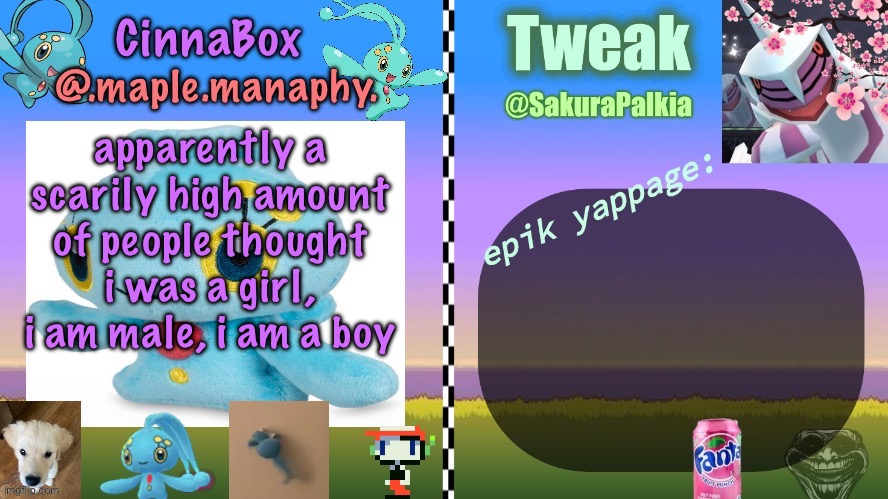 CinnaBox and Tweak shared temp | apparently a scarily high amount of people thought i was a girl, i am male, i am a boy | image tagged in cinnabox and tweak shared temp | made w/ Imgflip meme maker