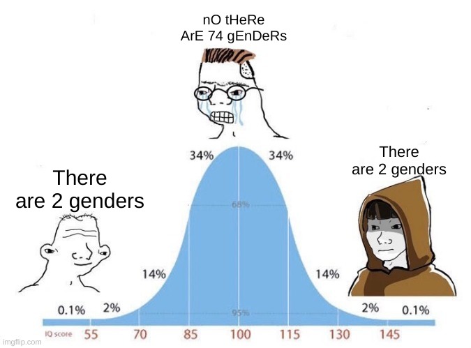 Not tryna be homophobic, transphobic, or any other phobic | nO tHeRe ArE 74 gEnDeRs; There are 2 genders; There are 2 genders | image tagged in bell curve | made w/ Imgflip meme maker