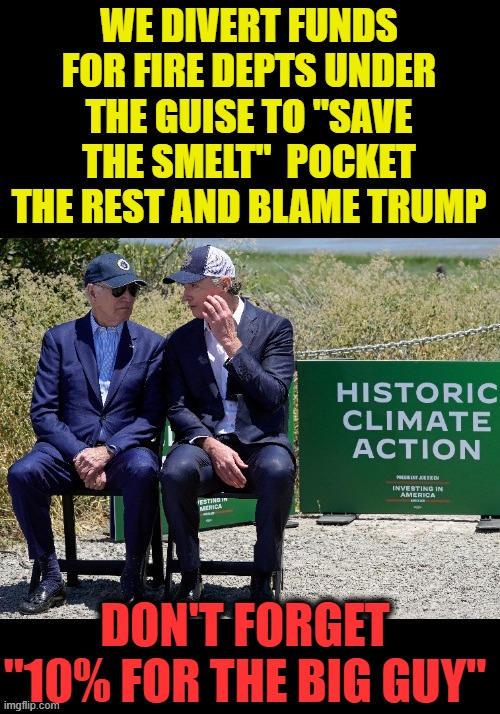 some photos dont age well | WE DIVERT FUNDS FOR FIRE DEPTS UNDER THE GUISE TO "SAVE THE SMELT"  POCKET THE REST AND BLAME TRUMP; DON'T FORGET "10% FOR THE BIG GUY" | image tagged in government corruption,fire,bribes,democrat failure | made w/ Imgflip meme maker