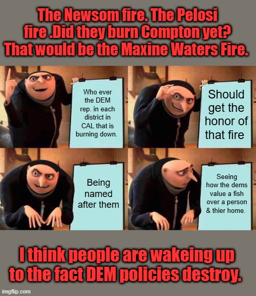 They deserve the credit. | The Newsom fire. The Pelosi fire .Did they burn Compton yet? That would be the Maxine Waters Fire. Who ever the DEM rep. in each district in CAL that is burning down. Should get the honor of that fire; Being named after them; Seeing how the dems value a fish over a person & thier home. I think people are wakeing up to the fact DEM policies destroy. | image tagged in memes,gru's plan | made w/ Imgflip meme maker