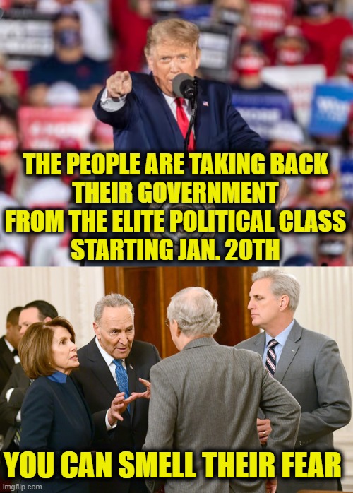 Power to the people | THE PEOPLE ARE TAKING BACK
THEIR GOVERNMENT
FROM THE ELITE POLITICAL CLASS
STARTING JAN. 20TH; YOU CAN SMELL THEIR FEAR | image tagged in donald trump | made w/ Imgflip meme maker