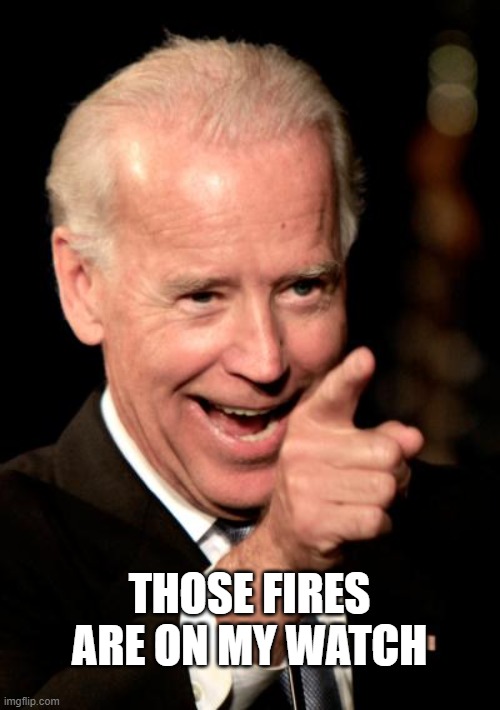 Smilin Biden Meme | THOSE FIRES ARE ON MY WATCH | image tagged in memes,smilin biden | made w/ Imgflip meme maker