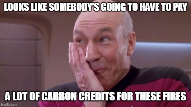 picard oops | LOOKS LIKE SOMEBODY'S GOING TO HAVE TO PAY A LOT OF CARBON CREDITS FOR THESE FIRES | image tagged in picard oops | made w/ Imgflip meme maker