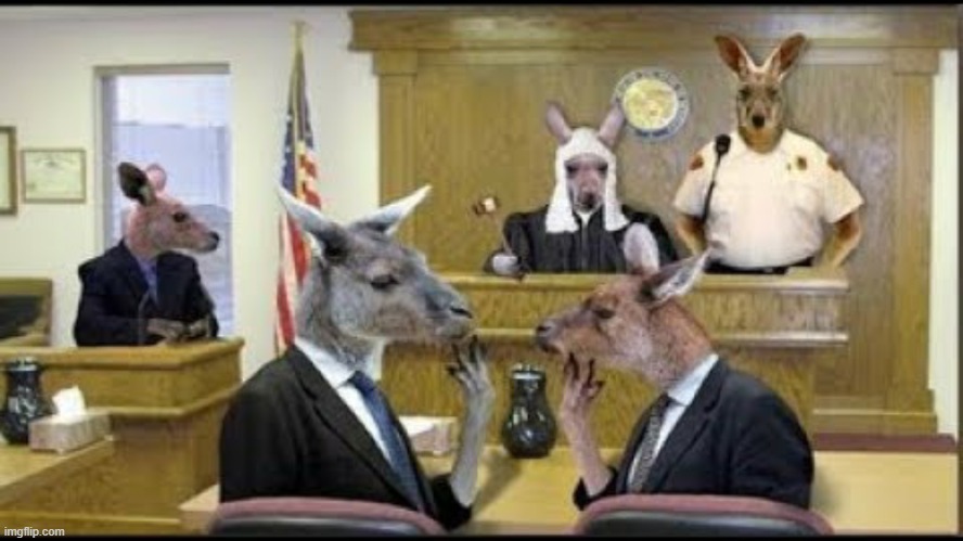 Kangeroo Court | image tagged in kangeroo court | made w/ Imgflip meme maker