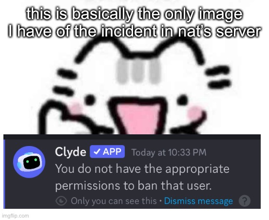 :P | this is basically the only image I have of the incident in nat’s server | image tagged in silly cat thumbs up | made w/ Imgflip meme maker