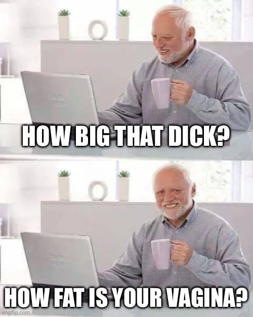 Sizes | HOW BIG THAT DICK? HOW FAT IS YOUR VAGINA? | image tagged in memes,hide the pain harold | made w/ Imgflip meme maker