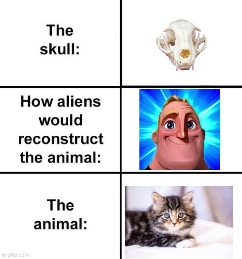 How Aliens Would Reconstruct the Animal | image tagged in how aliens would reconstruct the animal | made w/ Imgflip meme maker