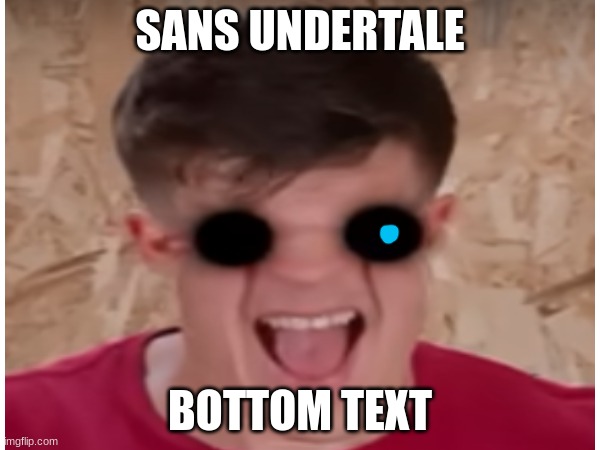 sans | SANS UNDERTALE; BOTTOM TEXT | image tagged in sans undertale | made w/ Imgflip meme maker