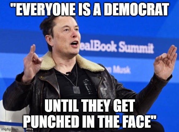 Elon Musk Go F Yourself | "EVERYONE IS A DEMOCRAT; UNTIL THEY GET PUNCHED IN THE FACE" | image tagged in elon musk go f yourself | made w/ Imgflip meme maker