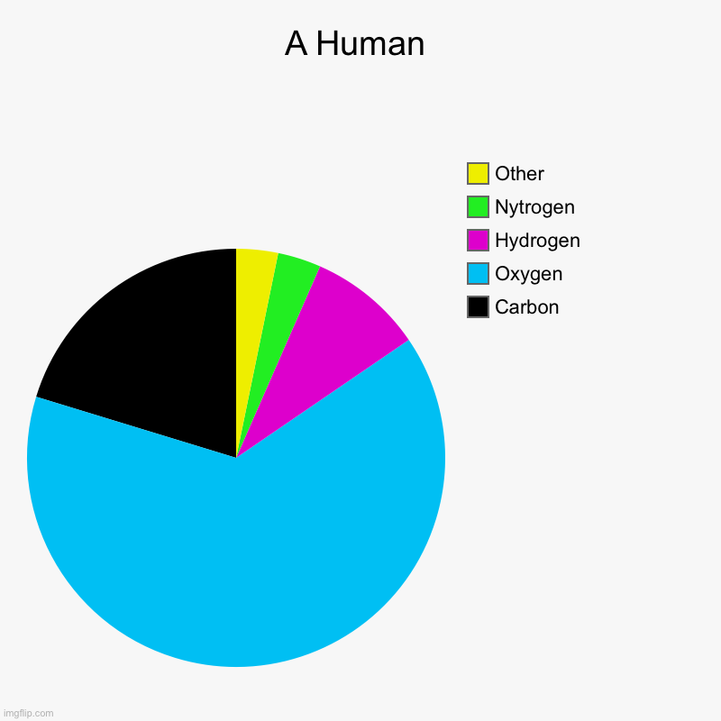 A Human | Carbon, Oxygen, Hydrogen, Nytrogen, Other | image tagged in charts,pie charts | made w/ Imgflip chart maker