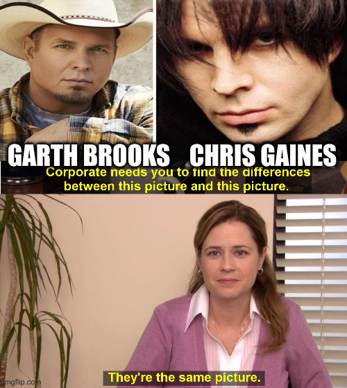 They're The Same Picture Meme | GARTH BROOKS    CHRIS GAINES | image tagged in memes,they're the same picture | made w/ Imgflip meme maker