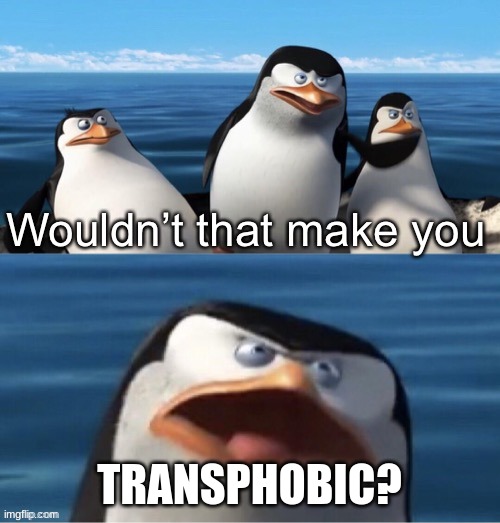 Wouldn’t that make you | TRANSPHOBIC? | image tagged in wouldn t that make you | made w/ Imgflip meme maker