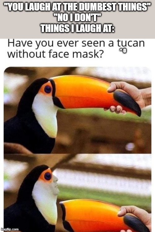 Yes, I corrected the typo as well. | "YOU LAUGH AT THE DUMBEST THINGS"
"NO I DON'T"
THINGS I LAUGH AT:; ^ 0 | image tagged in memes,birds,random | made w/ Imgflip meme maker