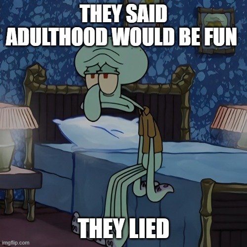 adulthood | THEY SAID ADULTHOOD WOULD BE FUN; THEY LIED | image tagged in memes | made w/ Imgflip meme maker