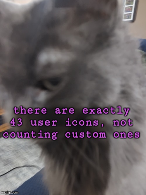 32's Cat | there are exactly 43 user icons, not counting custom ones | image tagged in 32's cat | made w/ Imgflip meme maker