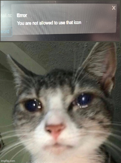 ㅤ | image tagged in crying cat | made w/ Imgflip meme maker