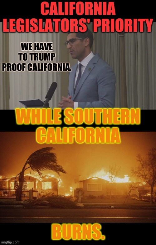 Donald Trump Sure Does Take Up A Lot Of Room In Their Heads | image tagged in memes,trump proof,california,priorities,wildfires,not so much | made w/ Imgflip meme maker