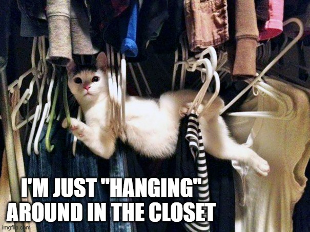 memes by Brad - My cat just "hanging" around in the closet - humor - | I'M JUST "HANGING" AROUND IN THE CLOSET | image tagged in funny,cats,kitten,play on words,humor,funny cat memes | made w/ Imgflip meme maker