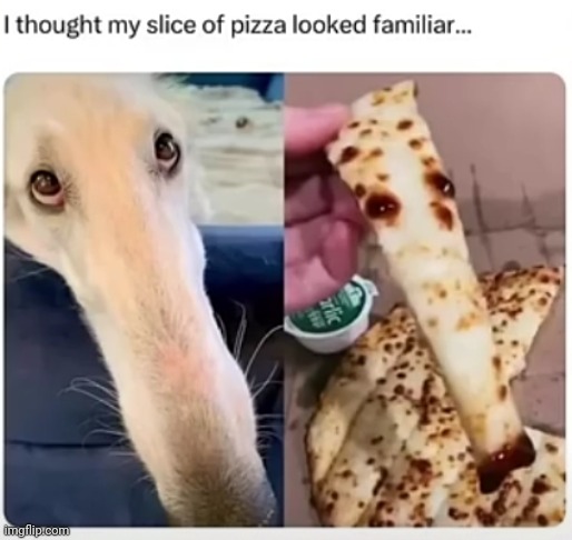 Borzoi | made w/ Imgflip meme maker