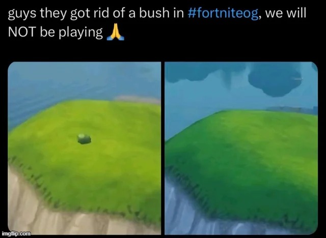 image tagged in fortnite,fortnite bush | made w/ Imgflip meme maker