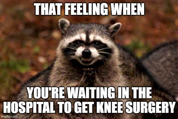 Evil Plotting Raccoon Meme | THAT FEELING WHEN YOU'RE WAITING IN THE HOSPITAL TO GET KNEE SURGERY | image tagged in memes,evil plotting raccoon | made w/ Imgflip meme maker