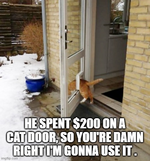 memes by Brad - owner spent $200 on a cat door so the cat uses it - humor - | HE SPENT $200 ON A CAT DOOR, SO YOU'RE DAMN RIGHT I'M GONNA USE IT . | image tagged in funny,cats,kitten,door,humor | made w/ Imgflip meme maker