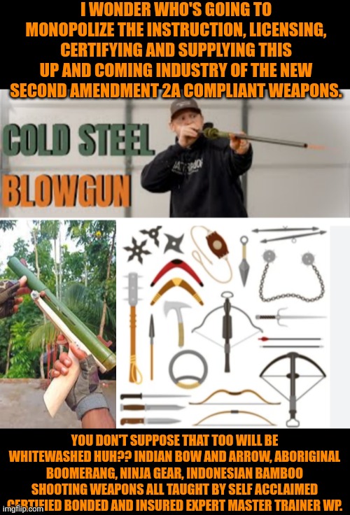 Funny | I WONDER WHO'S GOING TO MONOPOLIZE THE INSTRUCTION, LICENSING, CERTIFYING AND SUPPLYING THIS UP AND COMING INDUSTRY OF THE NEW SECOND AMENDMENT 2A COMPLIANT WEAPONS. YOU DON'T SUPPOSE THAT TOO WILL BE WHITEWASHED HUH?? INDIAN BOW AND ARROW, ABORIGINAL BOOMERANG, NINJA GEAR, INDONESIAN BAMBOO SHOOTING WEAPONS ALL TAUGHT BY SELF ACCLAIMED CERTIFIED BONDED AND INSURED EXPERT MASTER TRAINER WP. | image tagged in funny,2a,second amendment,weapons,politics,money in politics | made w/ Imgflip meme maker