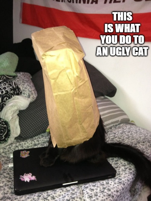 memes by Brad - This is what you do to an ugly cat - humor - | THIS IS WHAT YOU DO TO AN UGLY CAT | image tagged in cats,funny,kitten,ugly,humor | made w/ Imgflip meme maker