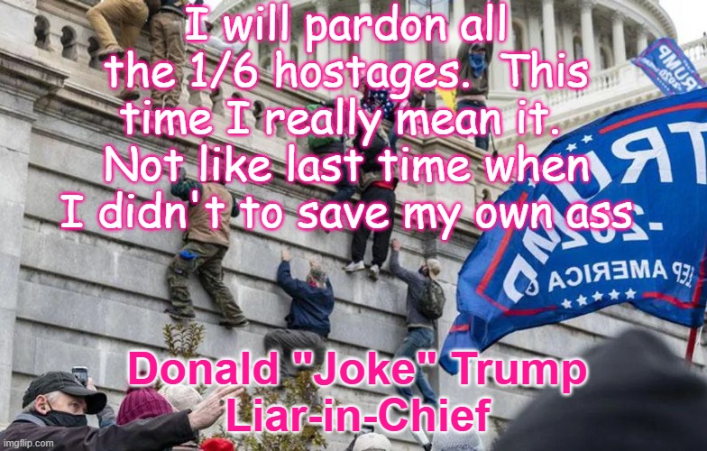 Insurrection Terrorists Capitol Riot 1/6 treason | I will pardon all the 1/6 hostages.  This time I really mean it.  Not like last time when I didn't to save my own ass Donald "Joke" Trump
Li | image tagged in insurrection terrorists capitol riot 1/6 treason | made w/ Imgflip meme maker