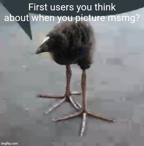 Wah wah wah wah wah wah wah wah | First users you think about when you picture msmg? | image tagged in wah wah wah wah wah wah wah wah | made w/ Imgflip meme maker