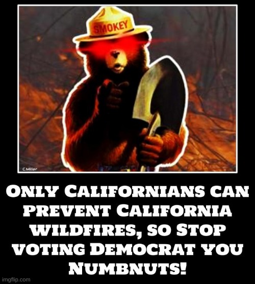 Smokey knows! | image tagged in california fires,smokey the bear,politics,gavin newsom,criminal,democrats | made w/ Imgflip meme maker