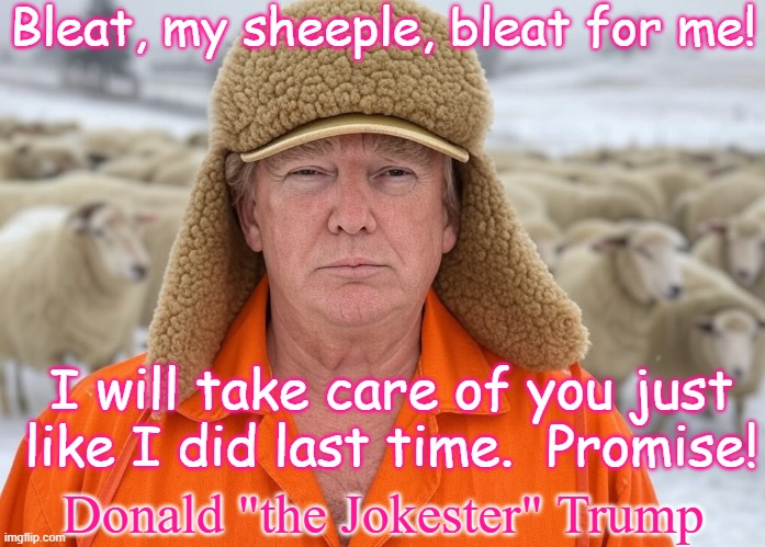 Bleat, my sheeple, bleat for me! Donald "the Jokester" Trump I will take care of you just like I did last time.  Promise! | image tagged in donald trump flock master sheepskin hat orange jumpsuit sheeple | made w/ Imgflip meme maker