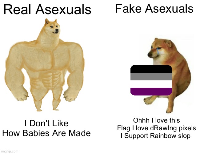 Please Don't put us Asexuals Into This Rainbow slop called lgbtq | Real Asexuals; Fake Asexuals; I Don't Like How Babies Are Made; Ohhh I love this Flag I love dRawIng pixels I Support Rainbow slop | image tagged in memes,buff doge vs cheems,asexual,lgbtq,lgbtq is just rainbow slop,gojo satoru ballsack | made w/ Imgflip meme maker