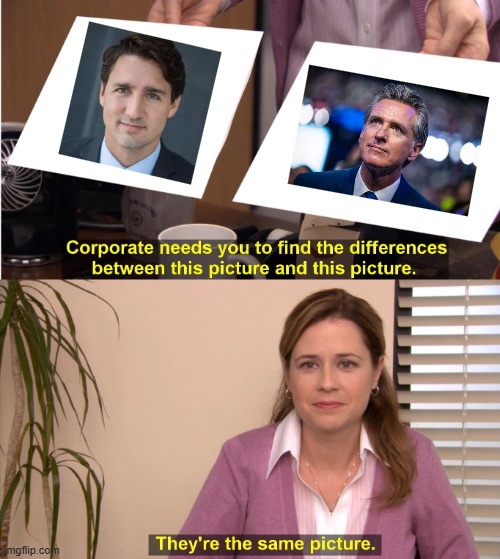 It's tru tho | image tagged in they're the same picture,politics,donald trump,justin trudeau,gavin newsome | made w/ Imgflip meme maker