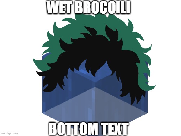 WET BROCOILI BOTTOM TEXT | made w/ Imgflip meme maker