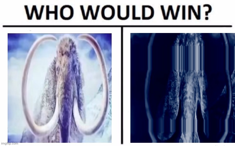 Who Would Win? | image tagged in memes,who would win | made w/ Imgflip meme maker