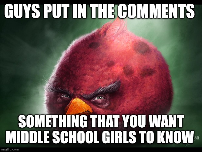 Realistic Angry Bird (big red) | GUYS PUT IN THE COMMENTS; SOMETHING THAT YOU WANT MIDDLE SCHOOL GIRLS TO KNOW | image tagged in realistic angry bird big red | made w/ Imgflip meme maker