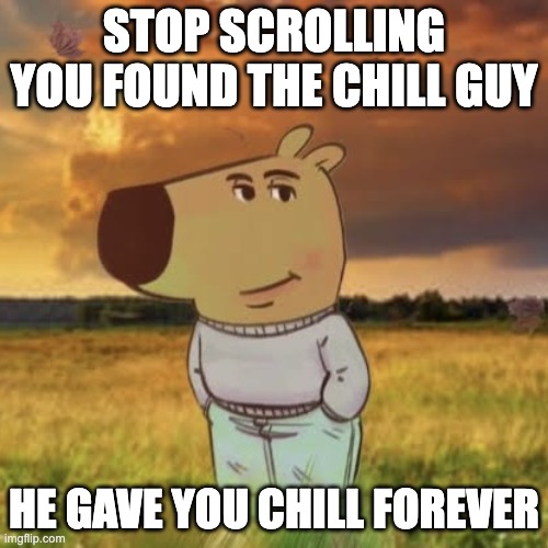 Chill guy | STOP SCROLLING YOU FOUND THE CHILL GUY; HE GAVE YOU CHILL FOREVER | image tagged in chill guy | made w/ Imgflip meme maker