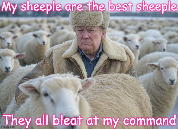 My sheeple are the best sheeple They all bleat at my command | image tagged in donald trump sheeple sheep sheepskin hat | made w/ Imgflip meme maker