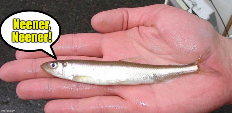 Smelt | Neener,
Neener! | image tagged in smelt | made w/ Imgflip meme maker